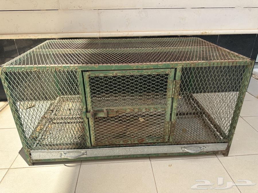 Small hole bird net64240726236419113