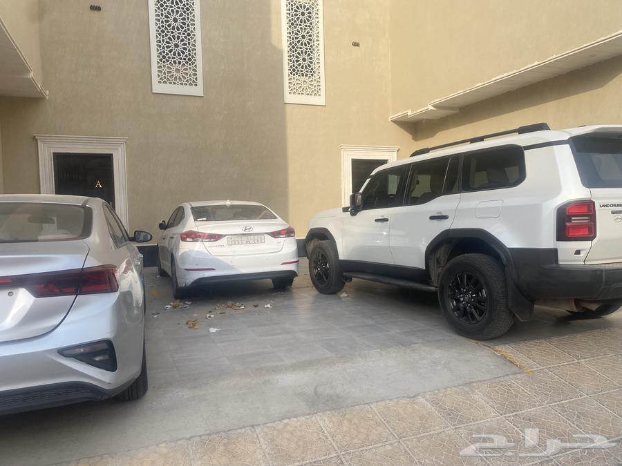 شقة للإيجار