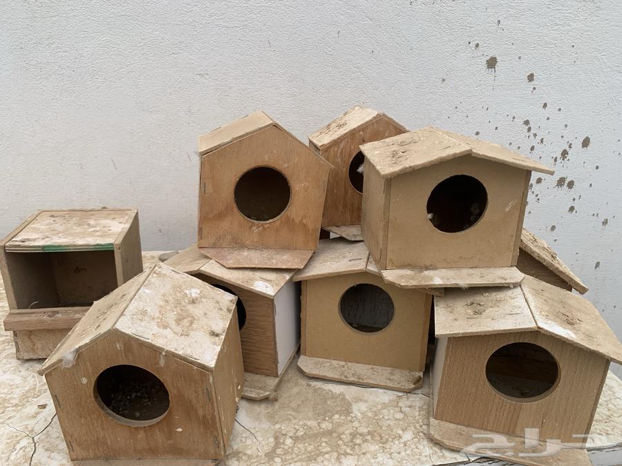 Zebra Nests Aqua and Pottery64250928217218110