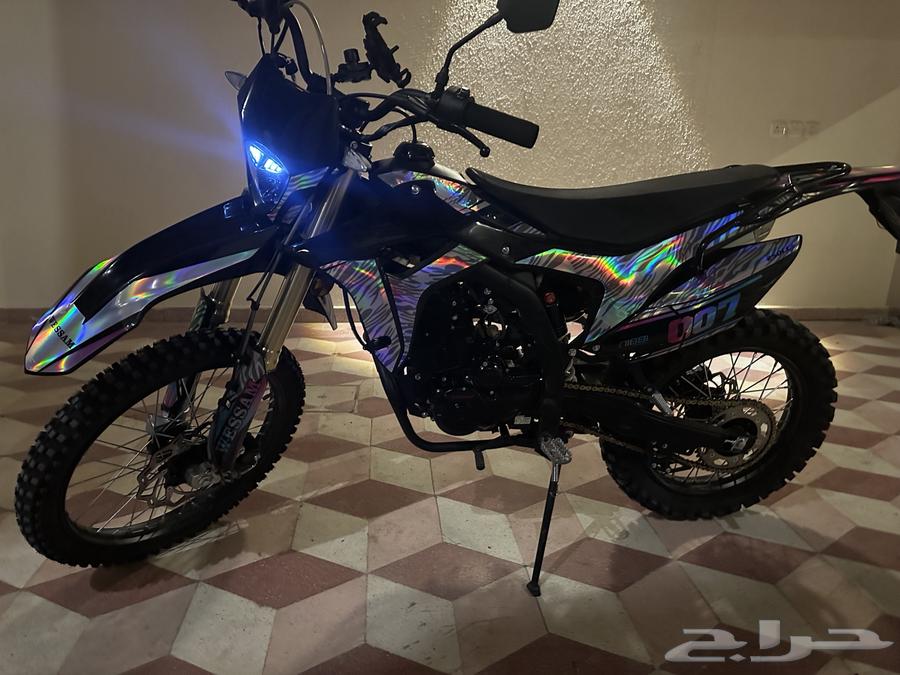 دباب صحراوي64419011648385110