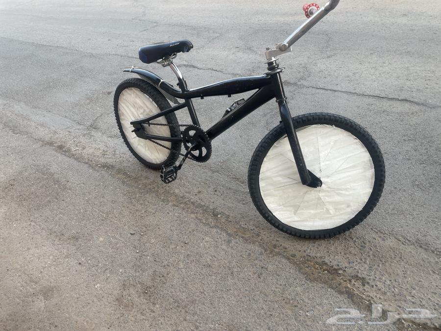 Original Cobra size 2064241253777155111