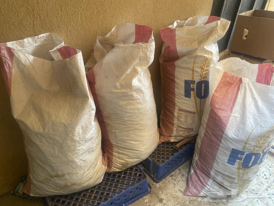 أربع كياس خبر يابس نظيف للبيع64247510032643110