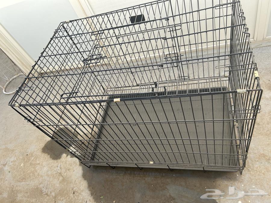 شبك حيوانات64237727098370113