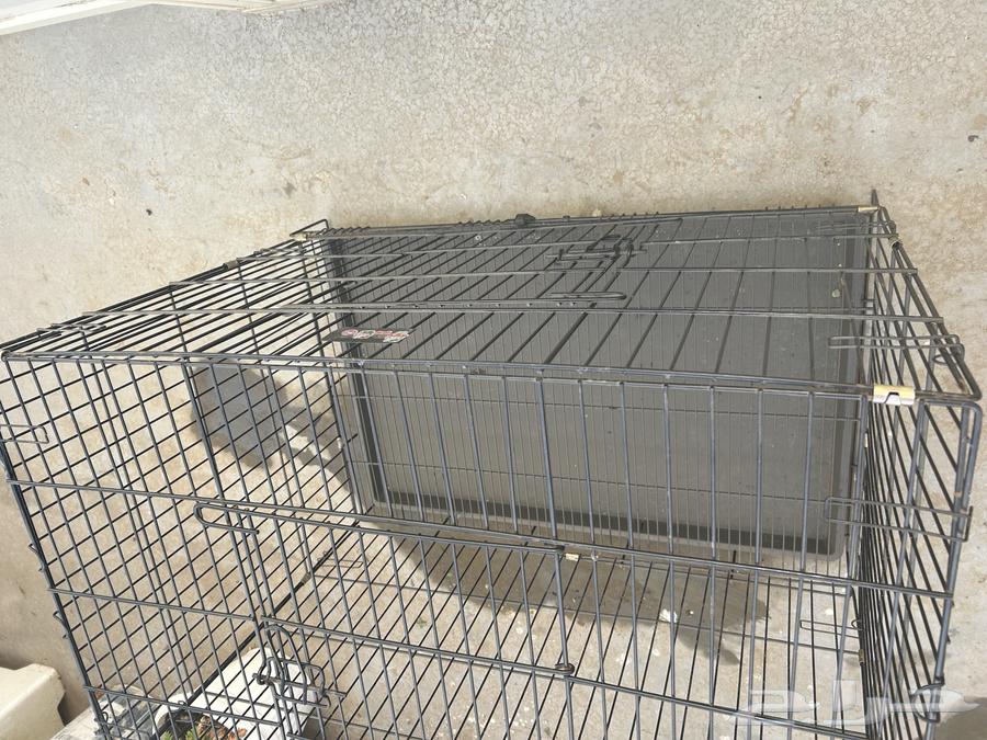 شبك حيوانات64237727098370114