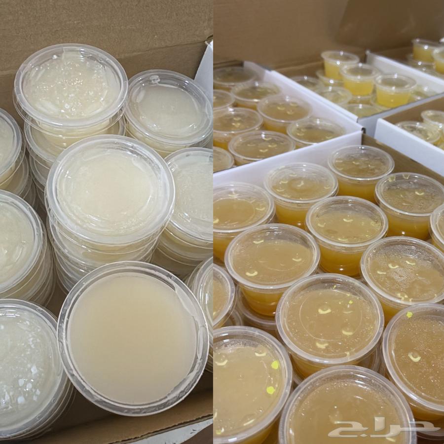 كولاجين طبيعي مستخلص من كوارع العجل64246647263363113