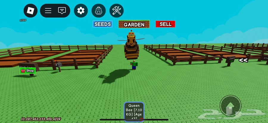 راكون 30 وا حيونات نادره في ماب المزرعه للبيع64241081864195114