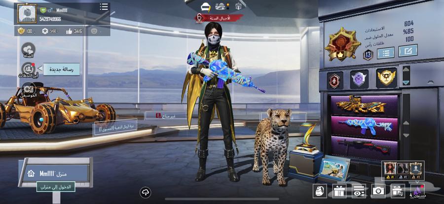 حساب ببجي ممتاز للبيع بسعر مناسب64233486965890110