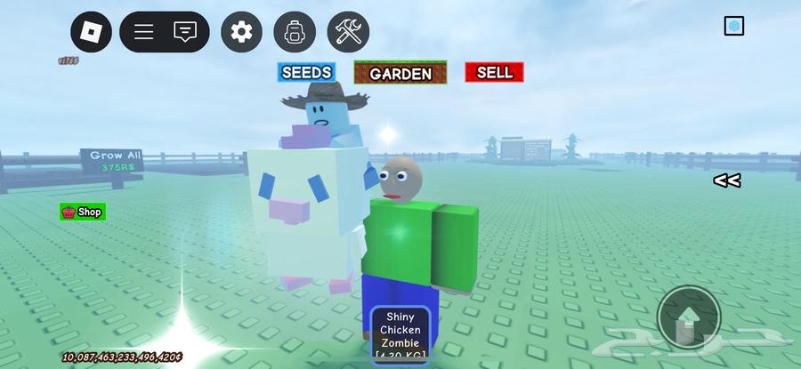 راكون 30 وا حيونات نادره في ماب المزرعه للبيع64241081864195112