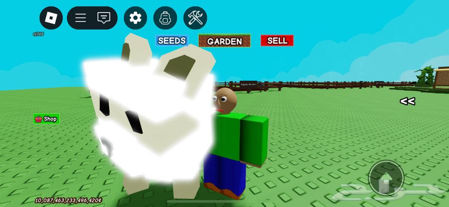 راكون 30 وا حيونات نادره في ماب المزرعه للبيع64241081864195110