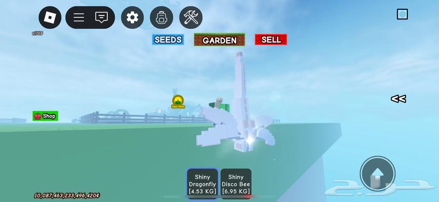 راكون 30 وا حيونات نادره في ماب المزرعه للبيع64241081864195111