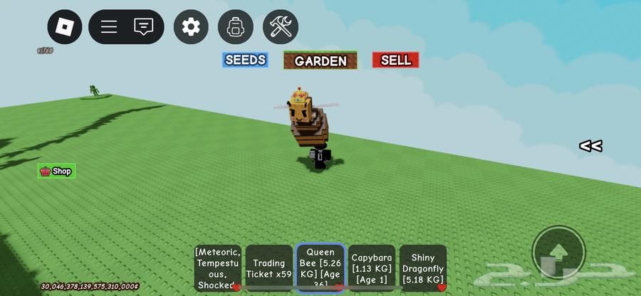 ملكة النحل64237286268163110