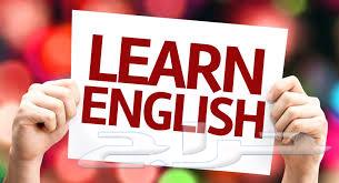 English Learning Files64252480881154110