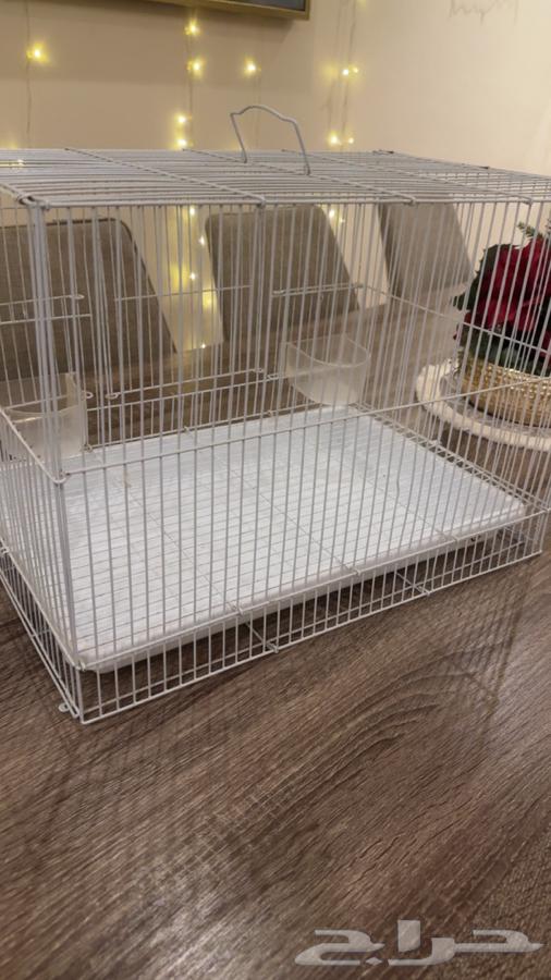 قفص عصافير شبه جديد64254078973443111