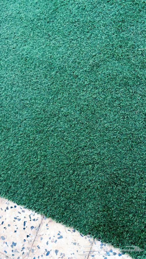 انجيله خضراء64255826846721110