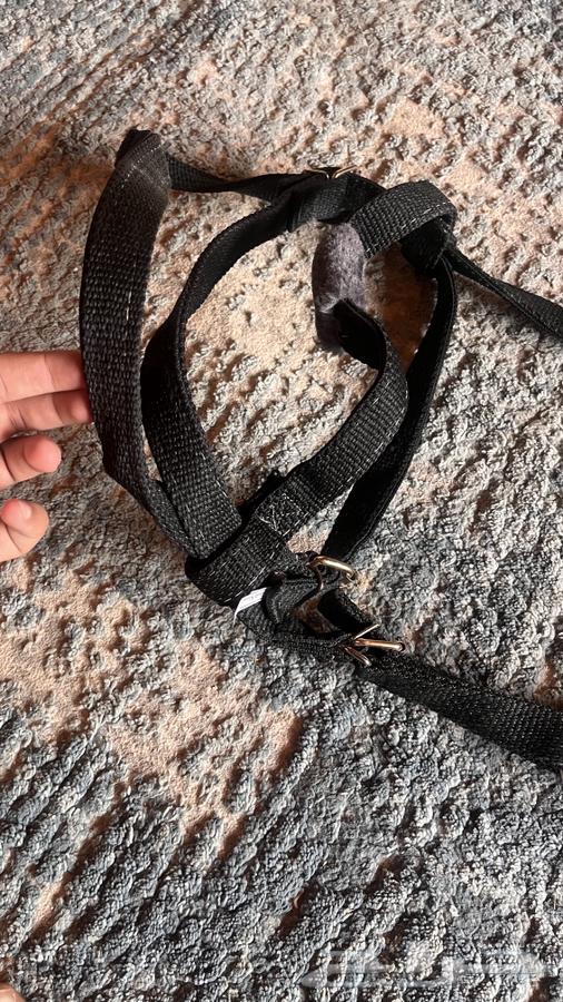 لجلك خيل64235921188227112