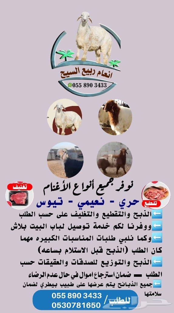 للببيع طليان ذبايح64245809356930110