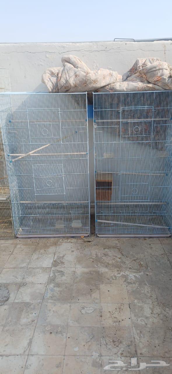 البيع قفص روز601 العدد 1064250242523651113