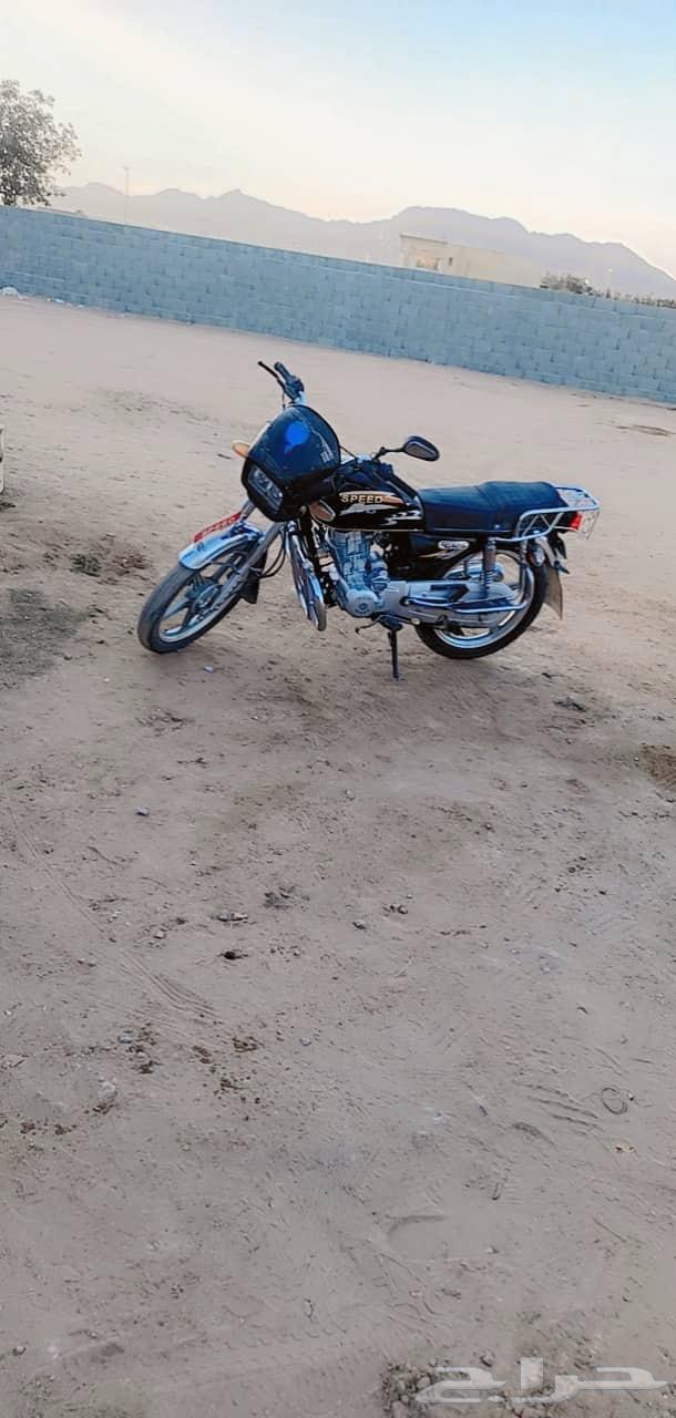 دباب لبيع مع  لوحات سعر 280064410406361346110