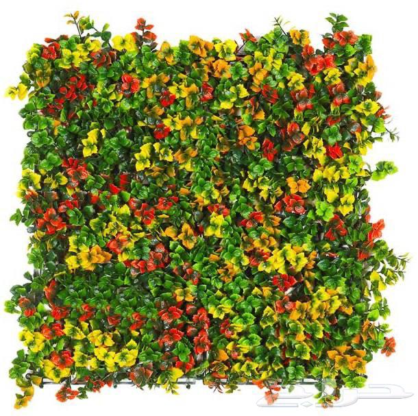 عشب جداري خارجي ممتاز64245809316226112