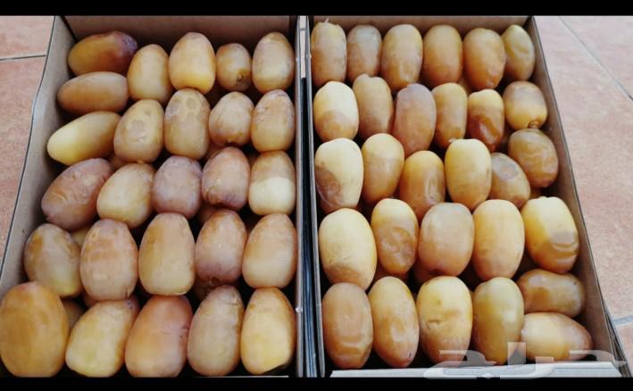 Premium Khalas and Roothana Dates Available in Bulk, See Reviews64252986540034110