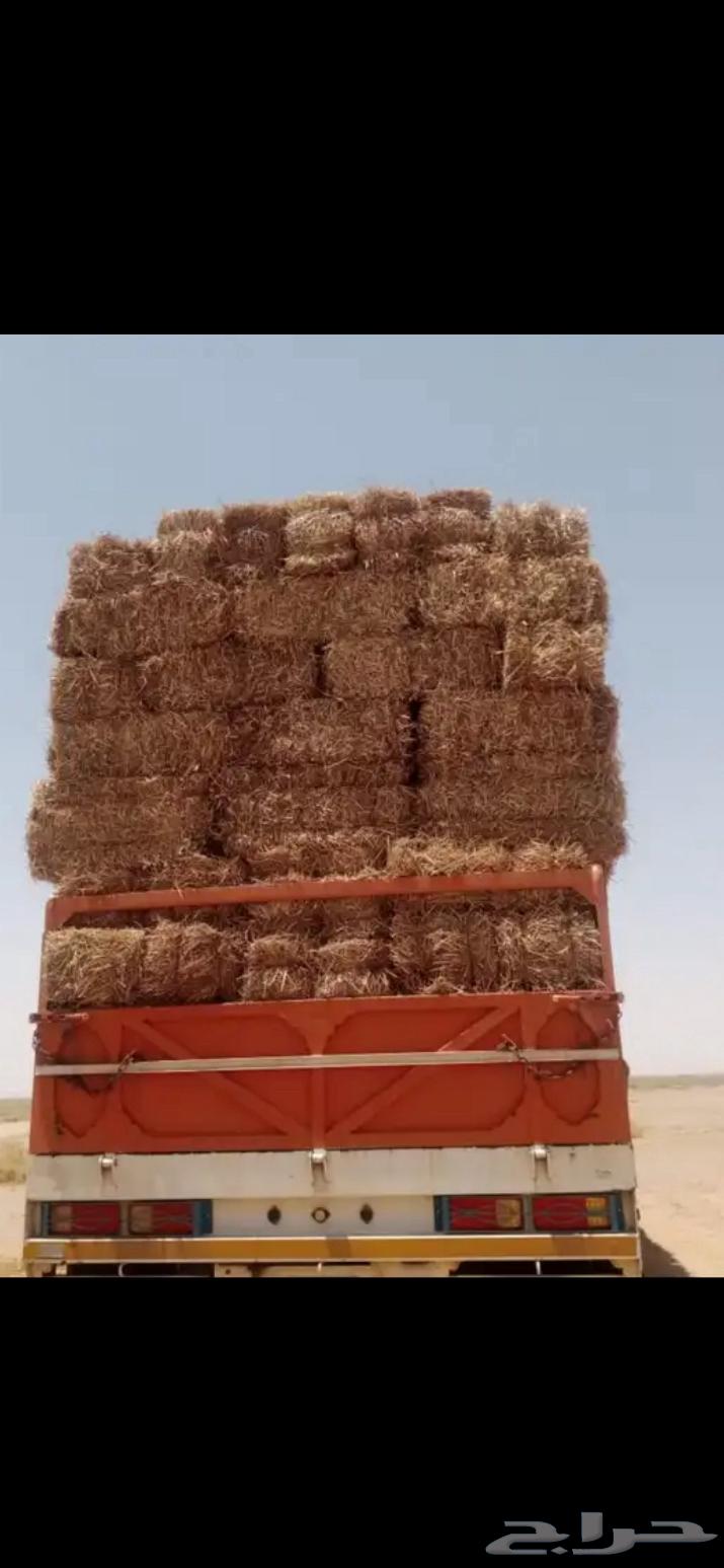 Nadi Company Wheat Straw Feed64243169921537111