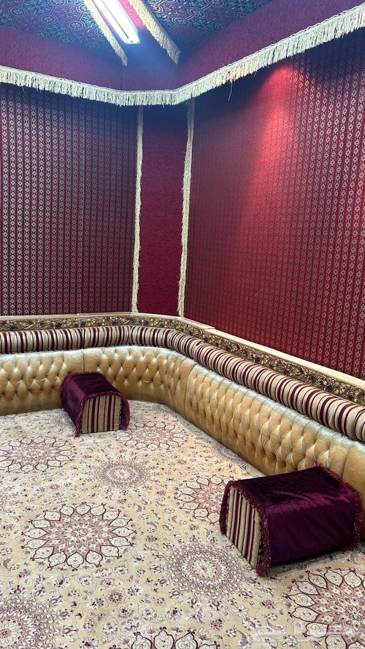 موكيت مجلس للبيع64244235195650113