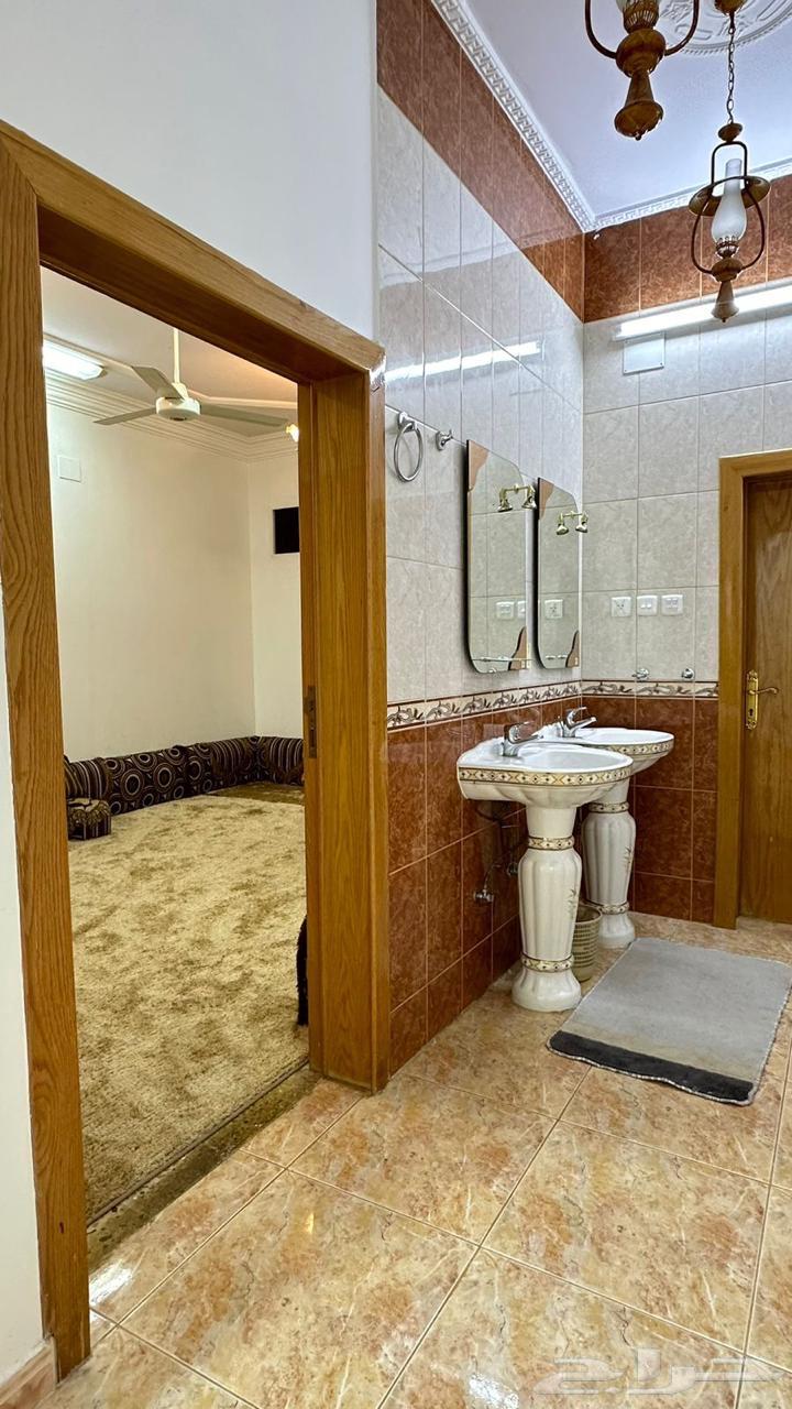 شقة مفروشة مؤثثة للايجار63613587275778112