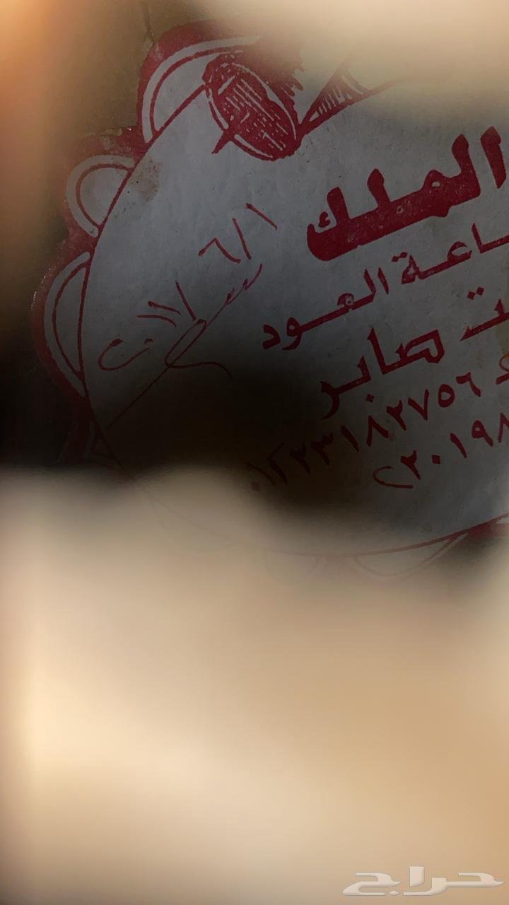 الة عود رأفت صابر64234807046146112