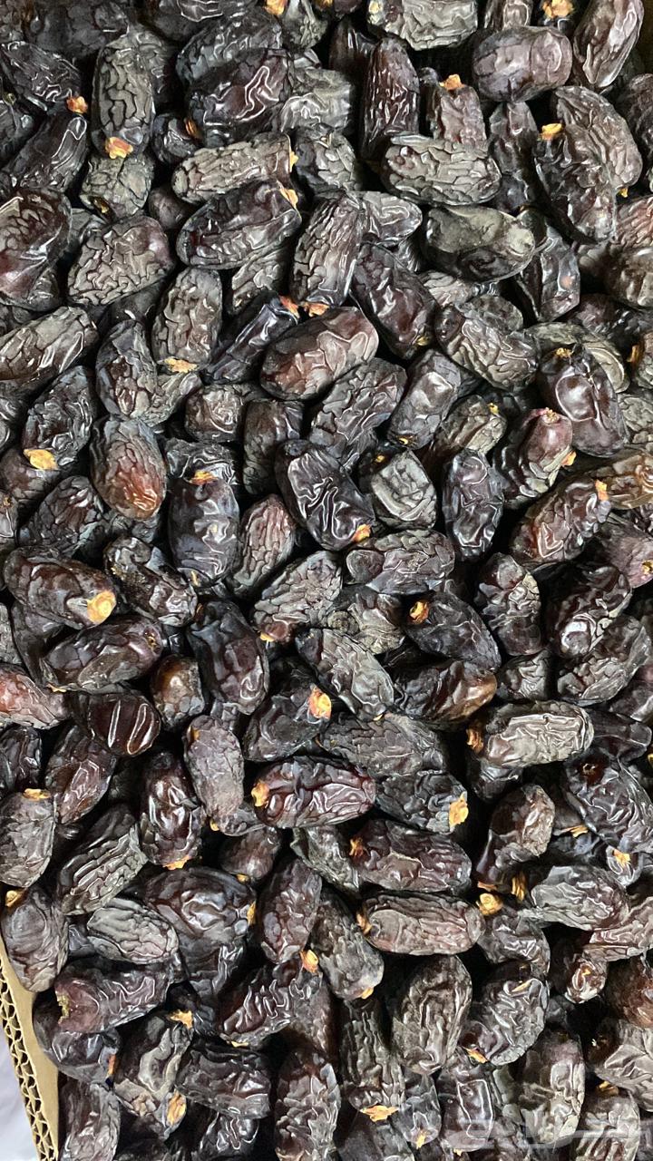 Medina dates, carton full of dates64250939472387112