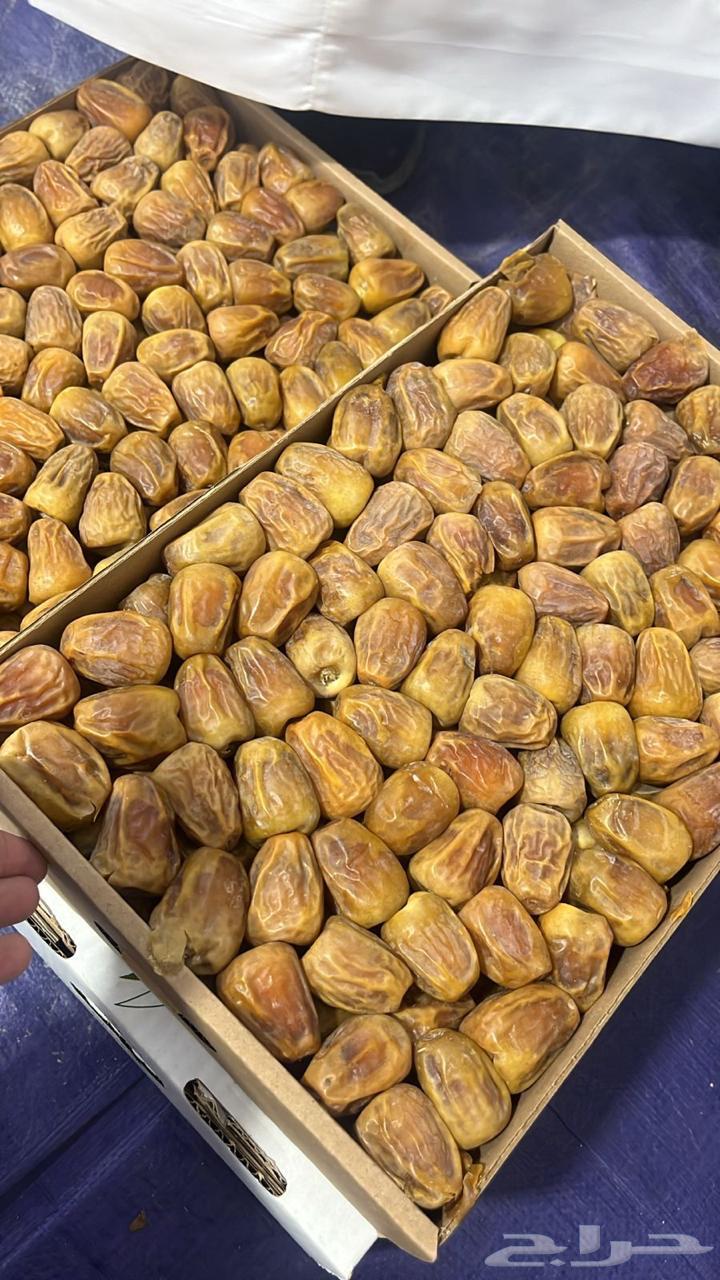 Premium Soft Sukkari Dates64251394139139112