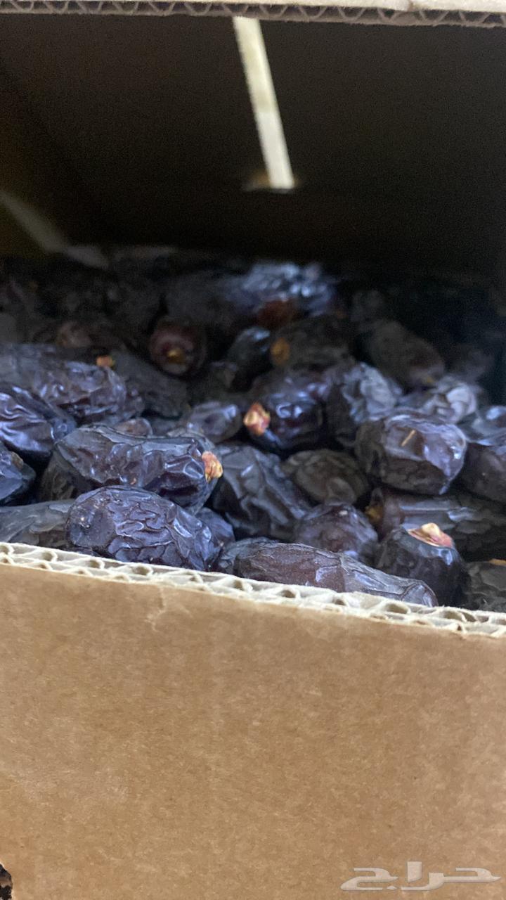 Medina dates, carton full of dates64250939472387110