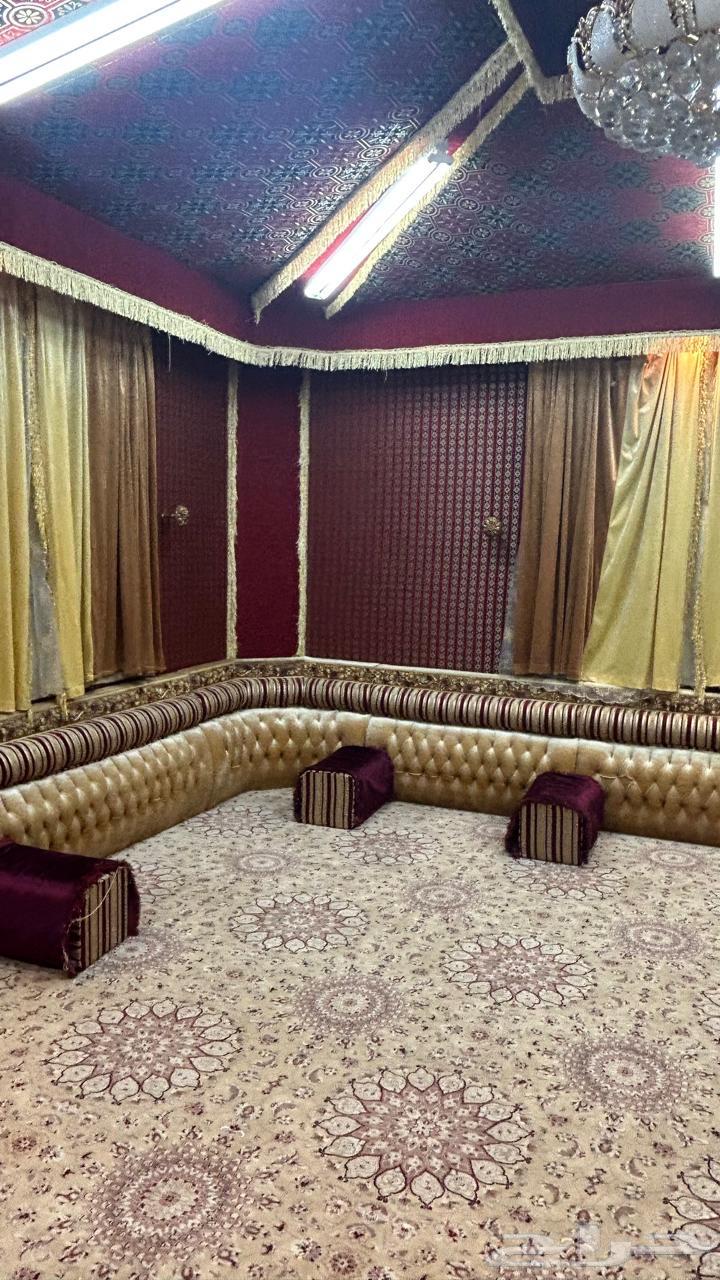 موكيت مجلس للبيع64244235195650110