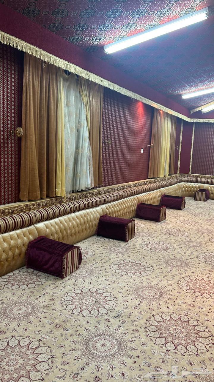 موكيت مجلس للبيع64244235195650112