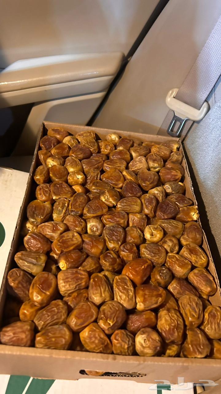 Sukkari dates for sale, this season's dates for sale64249080909827111