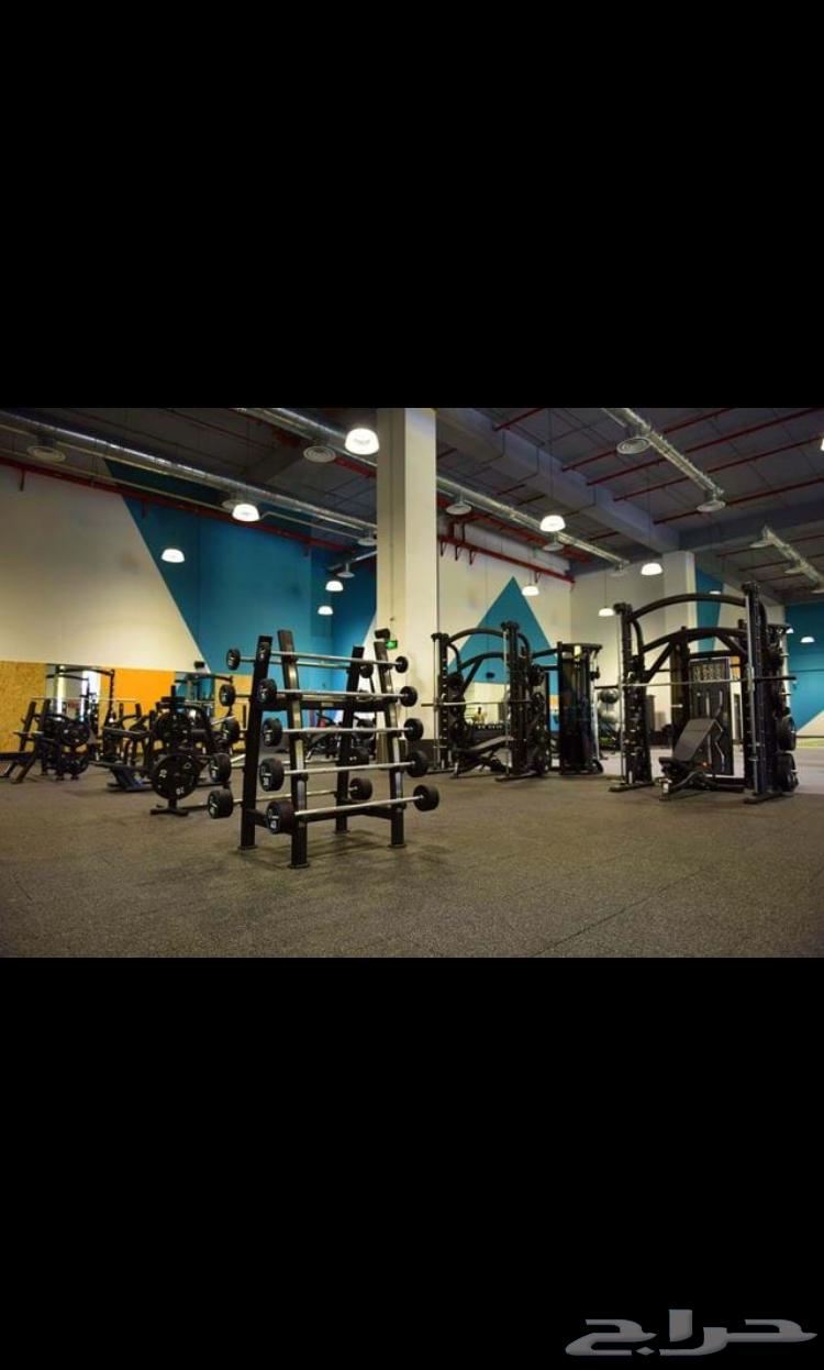 اشتراك بيور جيم ب 15064249066361091111