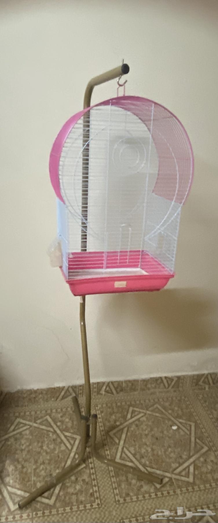 Bird Net64253592779650111