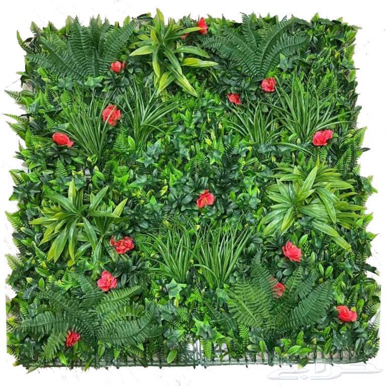 عشب جداري خارجي ممتاز64245809316226114