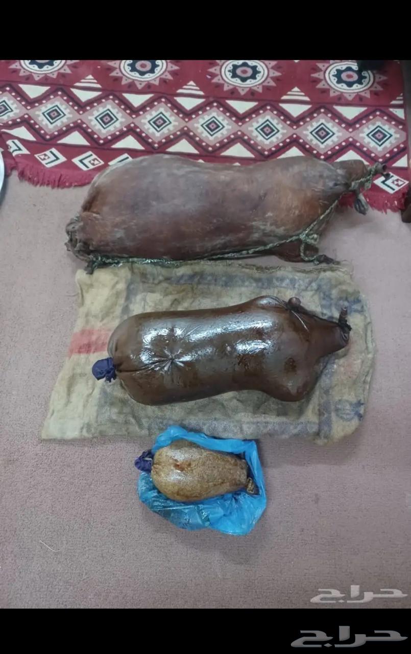 عكة غنم -قربة-ضب64254244559745110