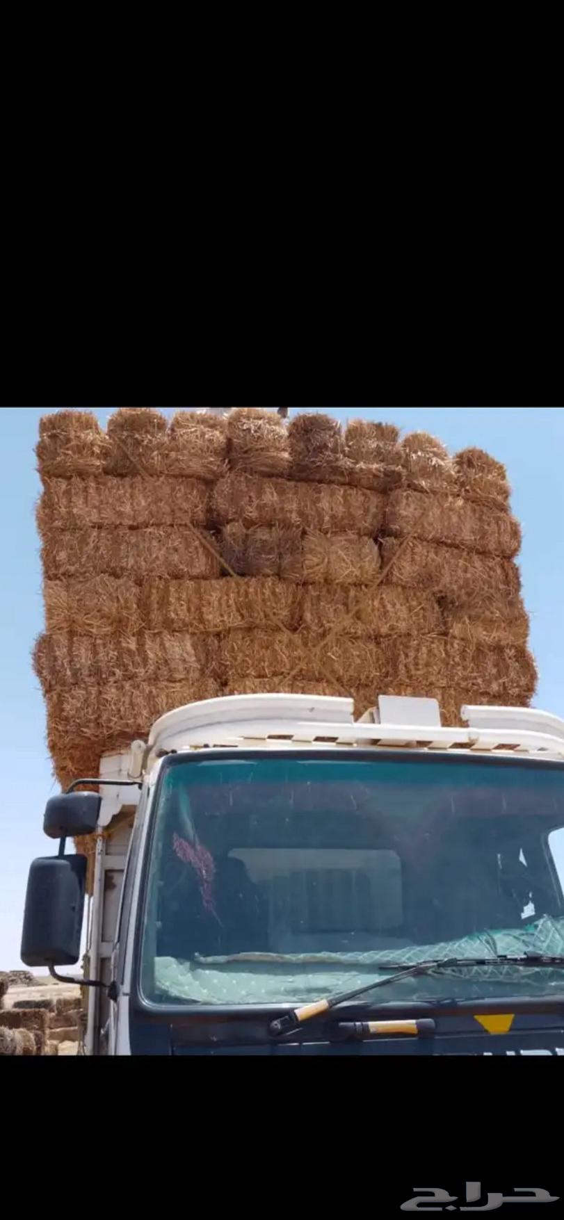 Nadi Company Wheat Straw Feed64243169921537114