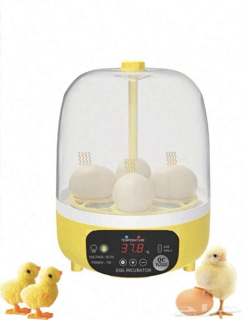 New incubator with cartoon condition64234465966467110