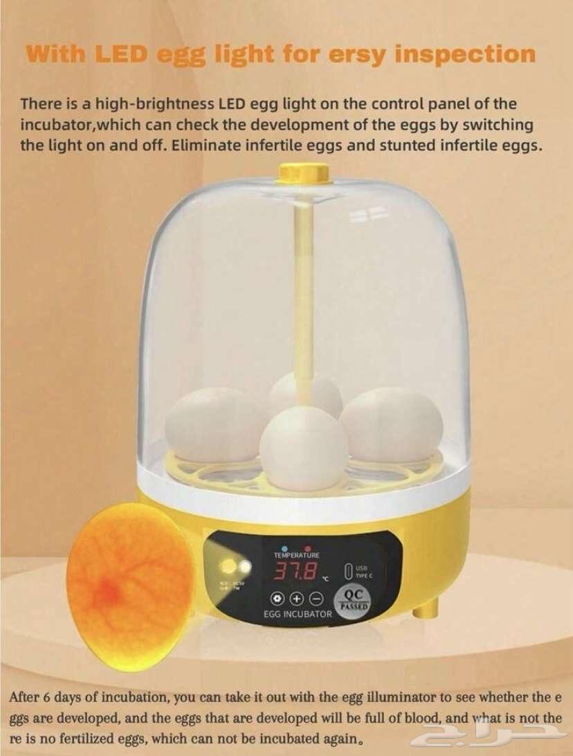 New incubator with cartoon condition64234465966467111