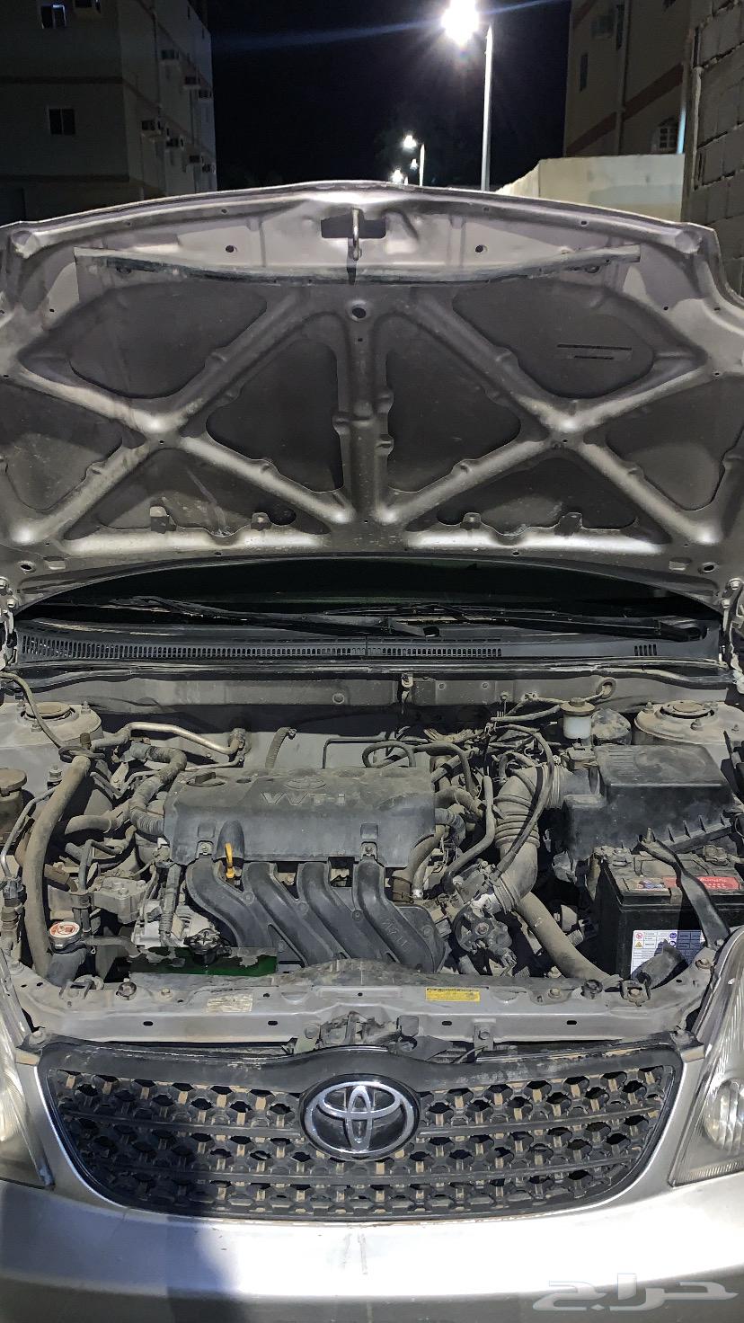 Korla200264419105078145110