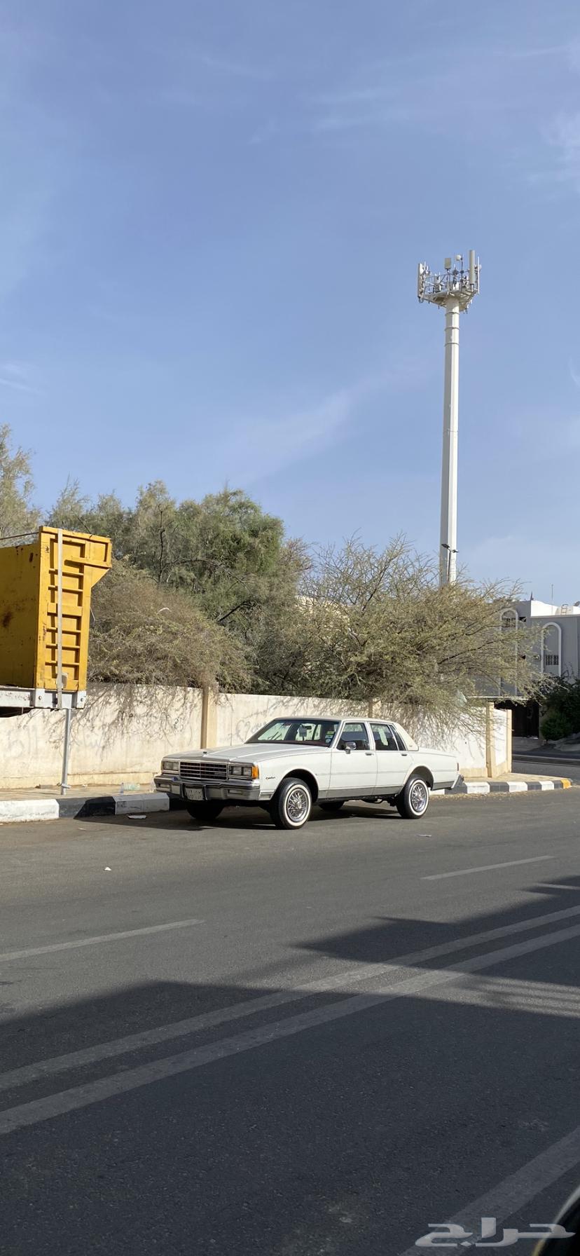 كابرس 84 مكينه قير دفرنس شرط64409574821378112