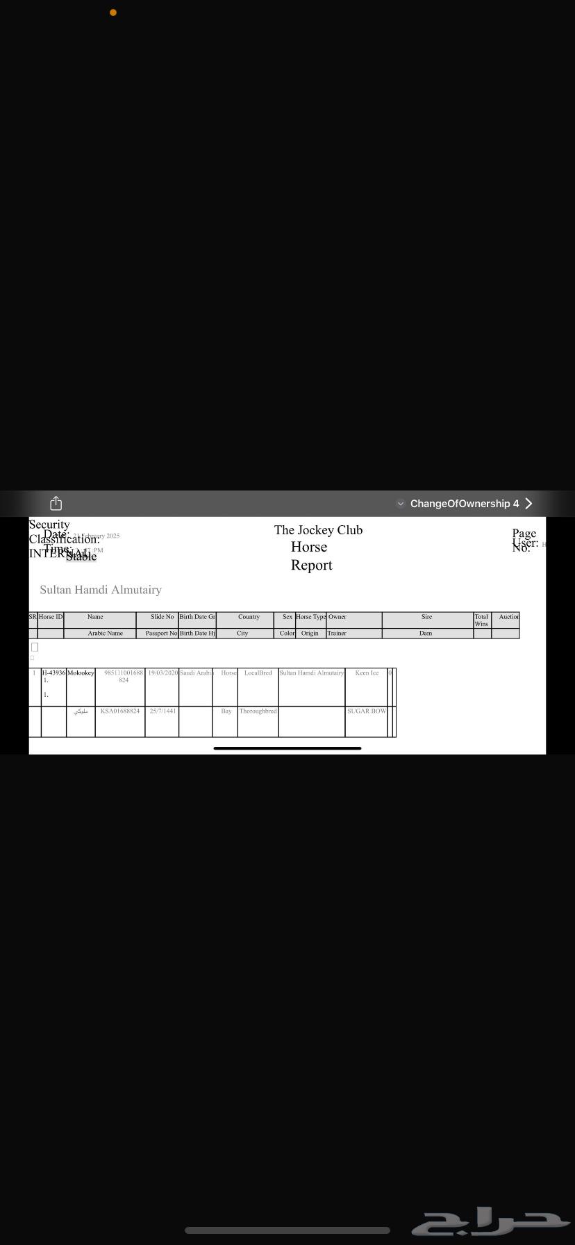 حصان انجليزي مسجل64239872578434111