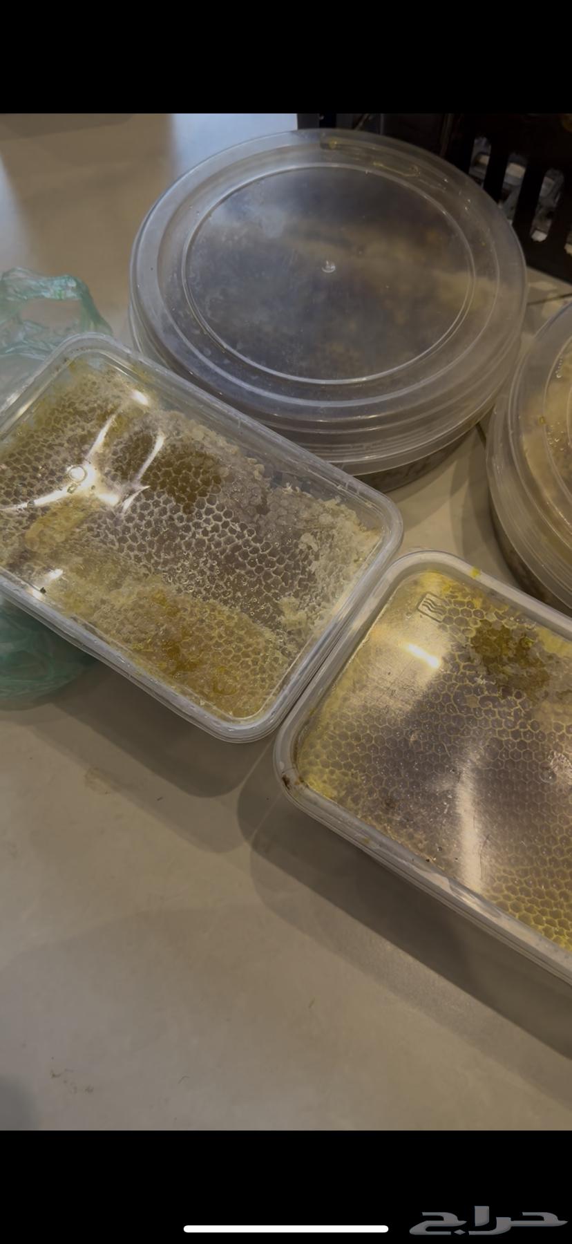 شمع نحل جديد توه واصل64250754291201112