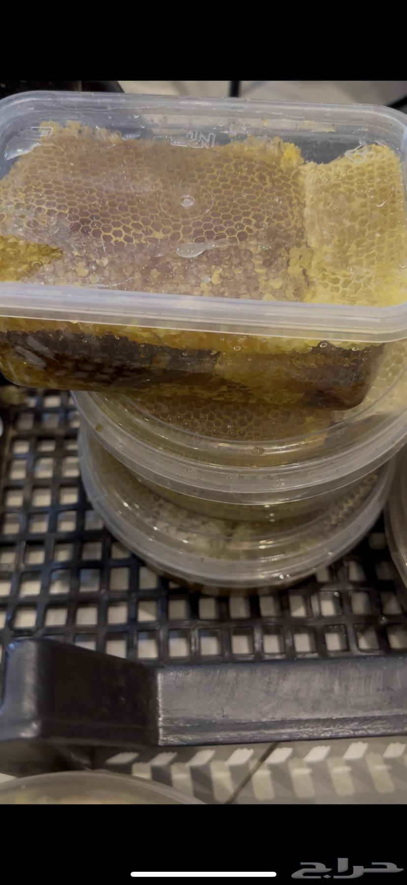شمع نحل جديد توه واصل64250754291201111