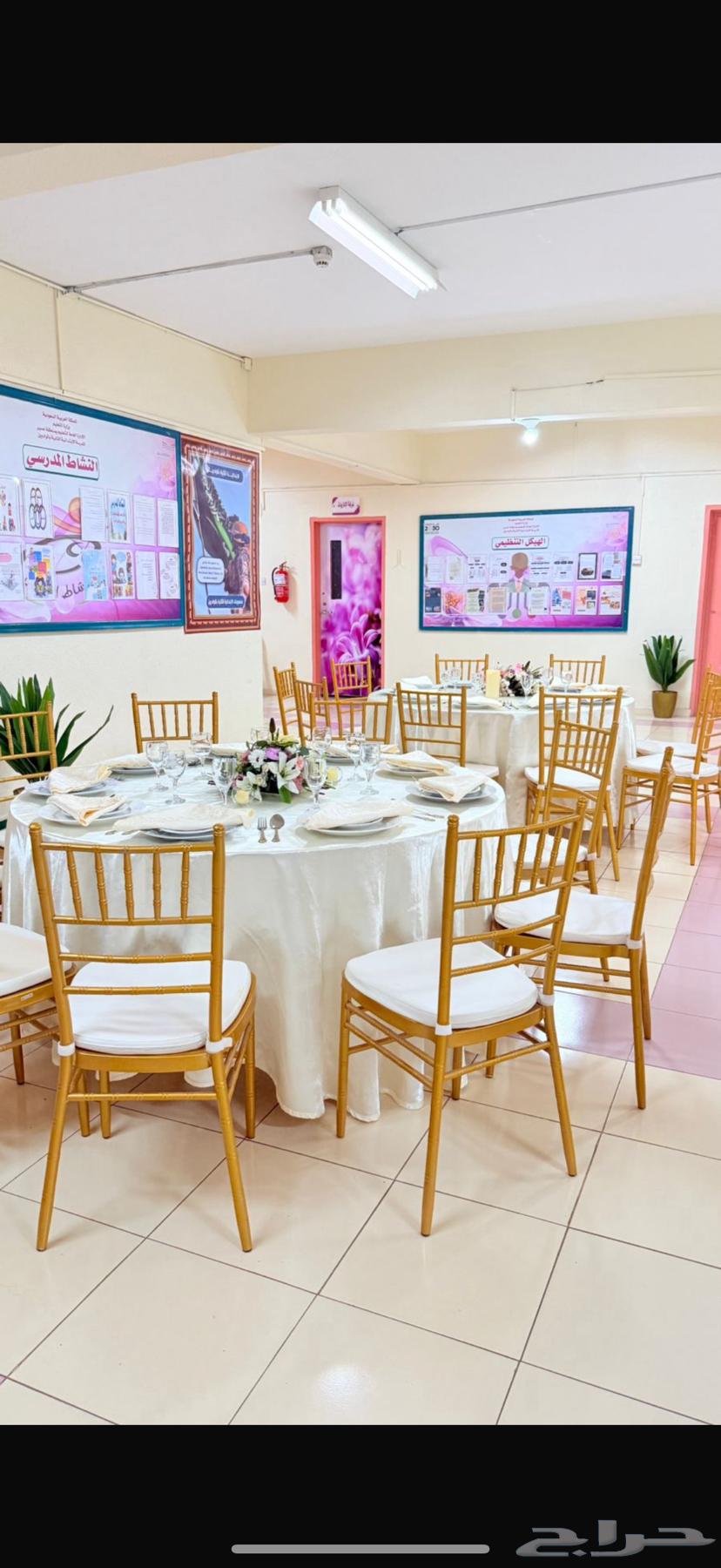 كراسي حفلات نابيلون وطاولات64233166806274113