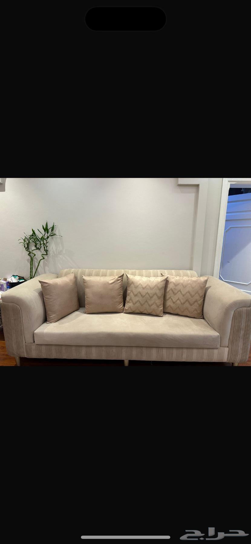 كنب نظيف للبيع64245994424962112