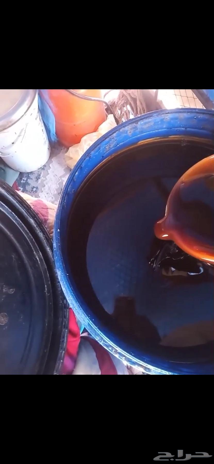 New guaranteed northern talh honey, delivery conditioned on payment (16) kilograms64246989531778110