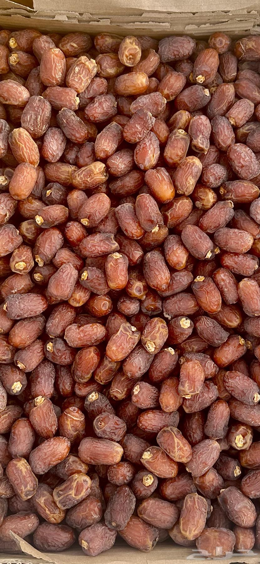 Wadi Al-Khulas Dates64248697257731112